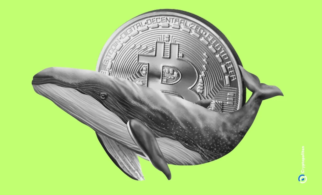 Bitcoin Breaks New High
