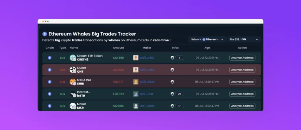 crypto whales explained