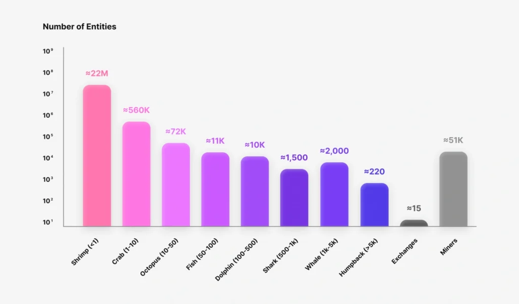 crypto whales explained