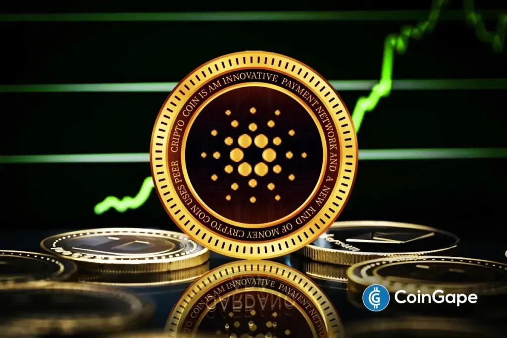 Cardano Price Rise