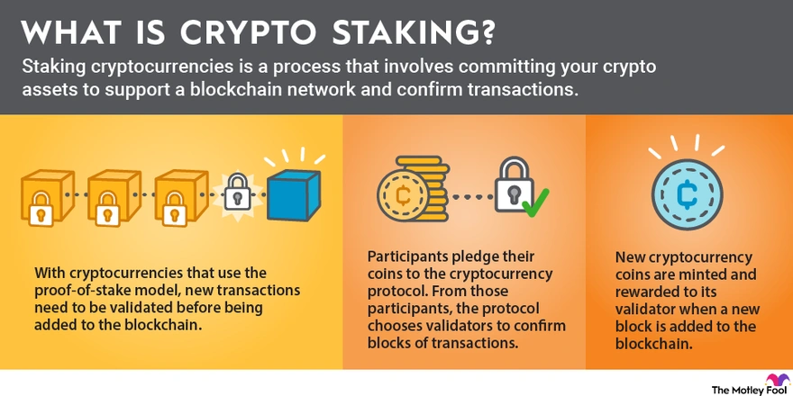 Crypto Staking for Beginners