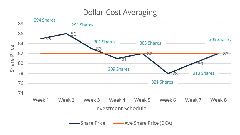Crypto Portfolio for Beginners